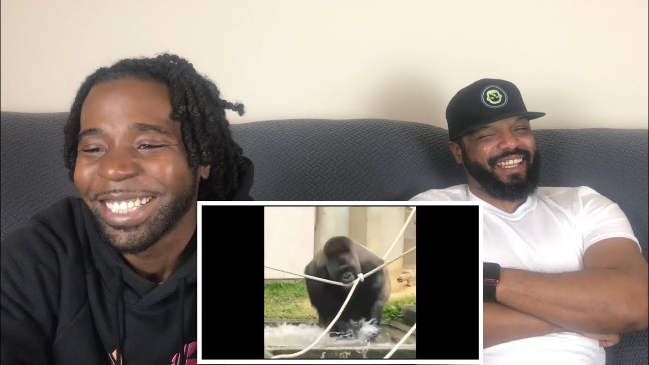 Tony Baker - The Animal Whisperer Reaction