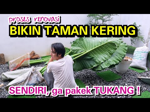 Video: Cara membuat taman kerikil dengan tangan Anda sendiri: ide, bahan, tahapan kerja