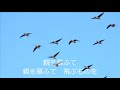 波止場がらす デイックイネ