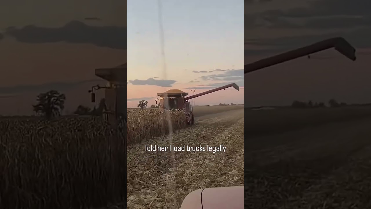 moisture contents? Too Dry? Too Wet? 🔥💯💯