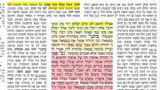 דף ק 100הדף היומי מסכת חולין דף ק 100 חמישי ל' אדר א' תשע"ט DAF YOMI CHULLIN DAF💯  100 ק