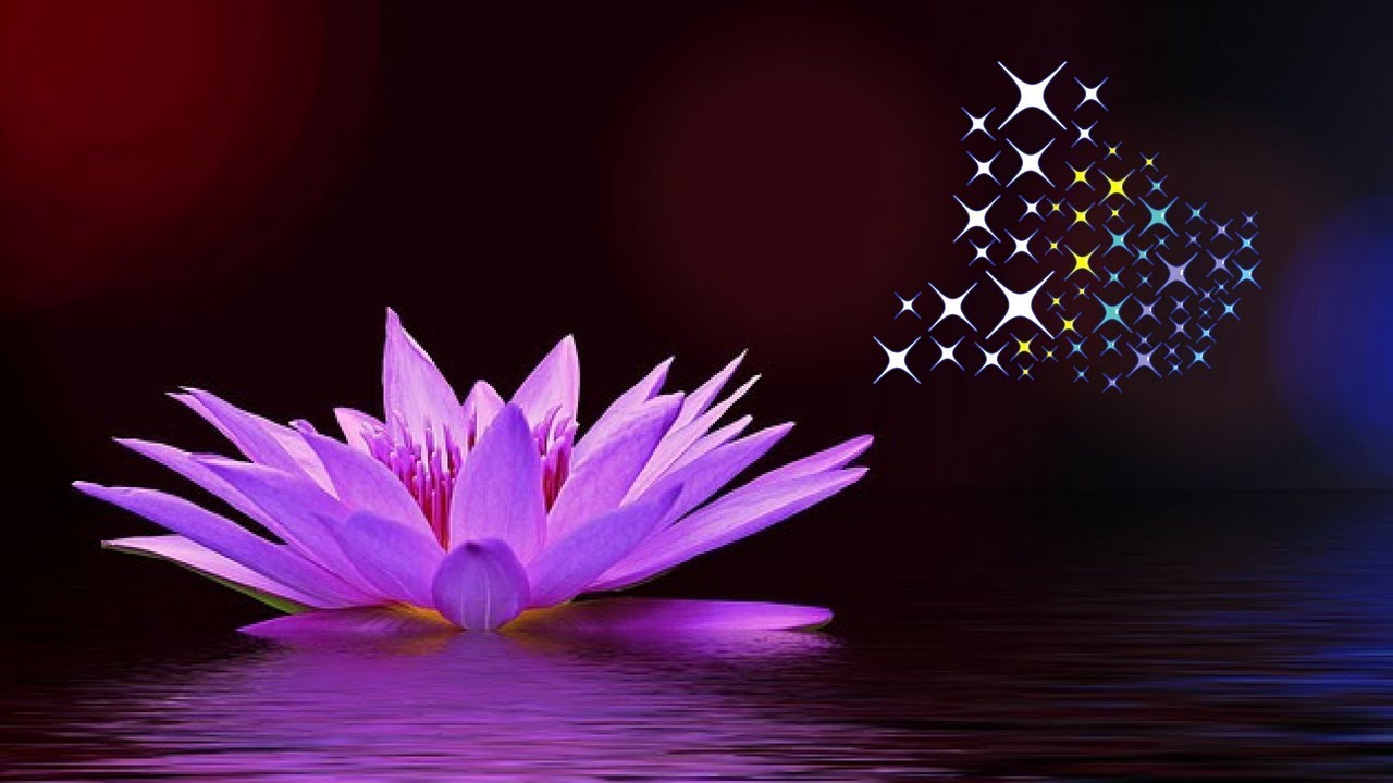 Mindfulness Meditation For Children Pdf