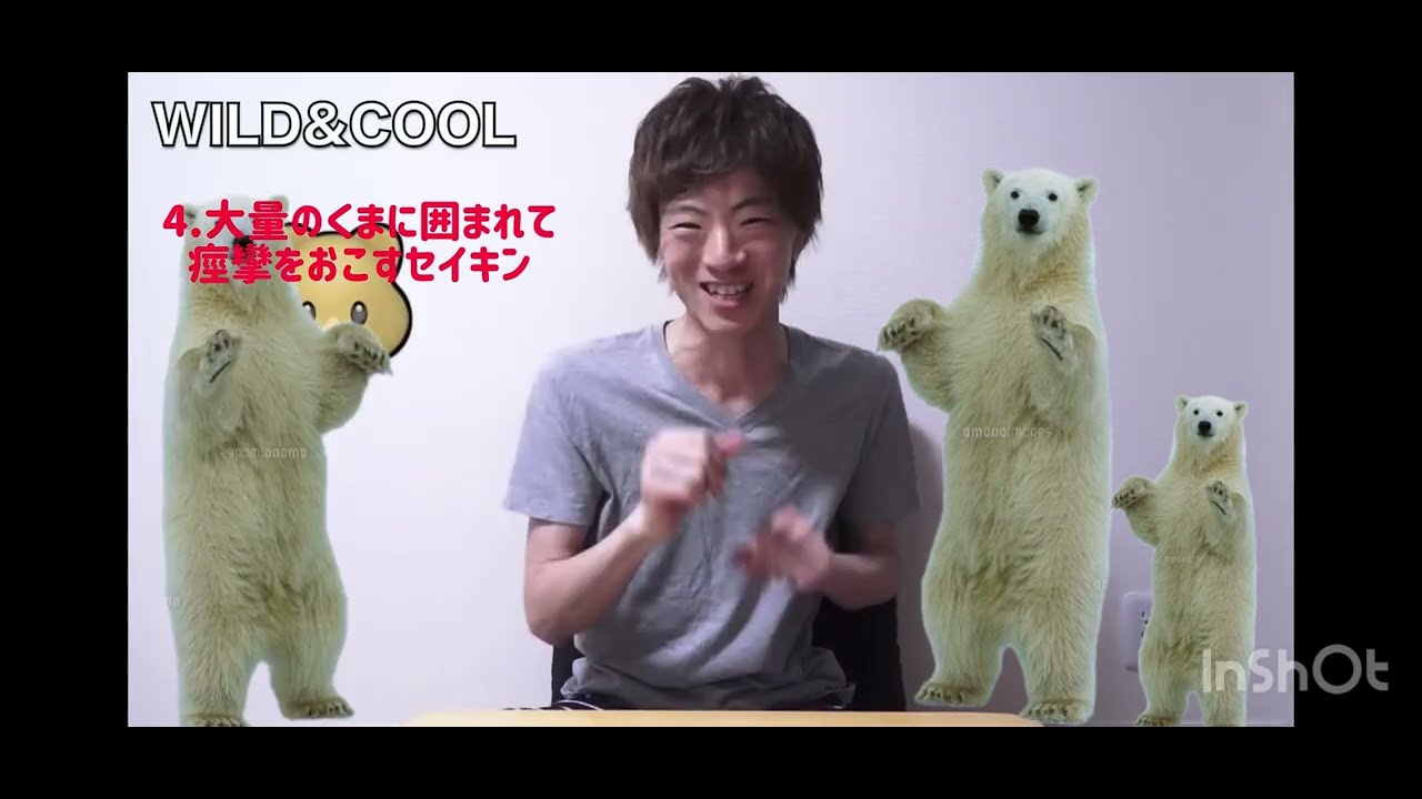 ワホーセイキン
