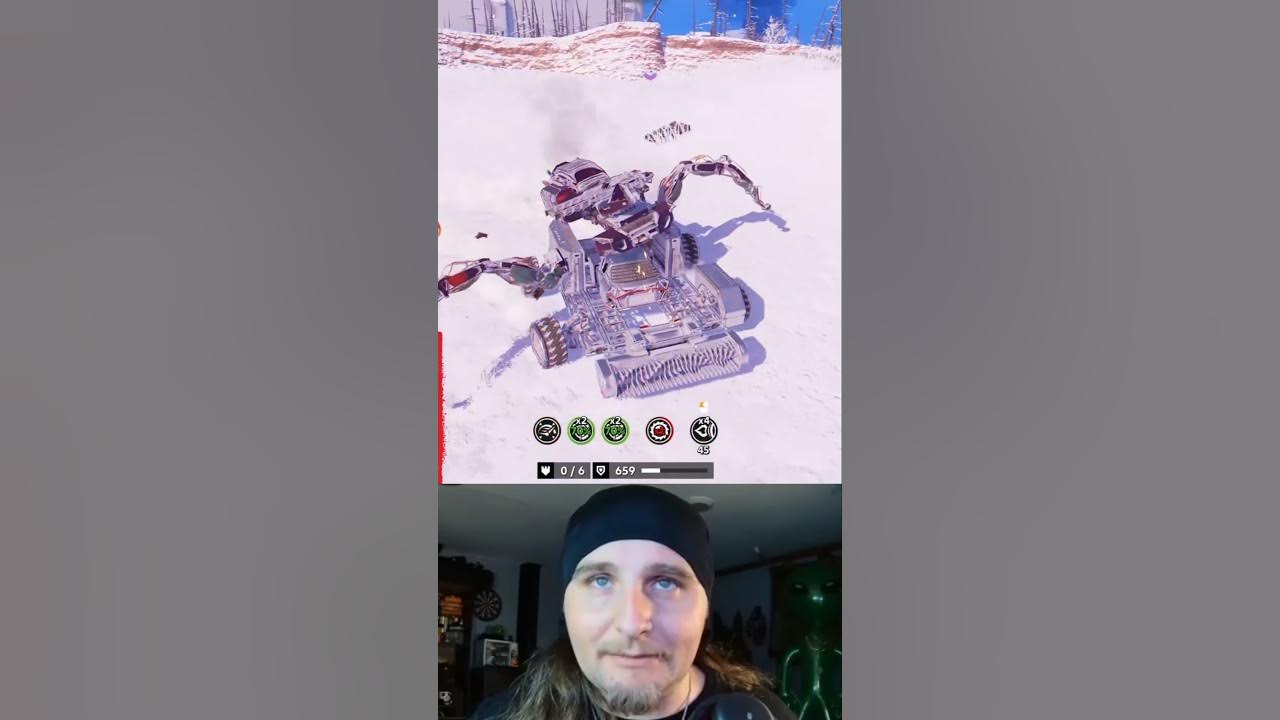 PLAYING WITH SPIDERS - YouTube