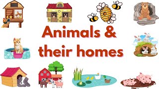Animals and their homes-Animal habitat|Animal homes-Learn Animals and home in english#wonderwowkidz