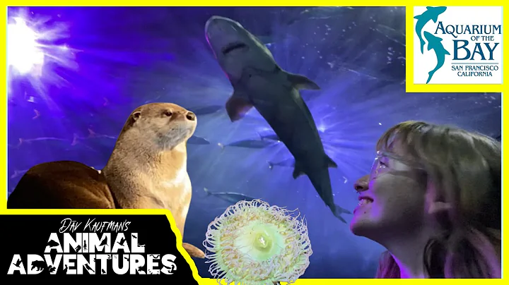 Touring the AQUARIUM OF THE BAY! (Sharks, Otters, Marine animals, and more!)