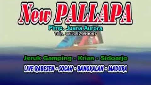 New Pallapa Album Mengenang Alm. Cak Soliq Irwansyah Suling.