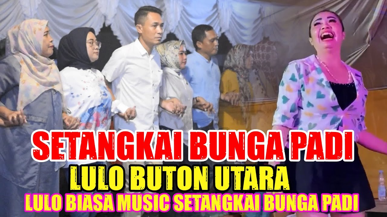 Lulo Biasa Buton Utara -  Setangkai Bunga Padi
