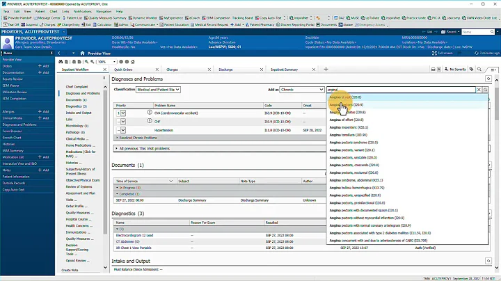 Diagnoses and Problems in Cerner PowerChart Dynamic Documentation