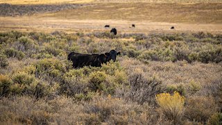 BLM Seeks Nominations for Public Lands Rule Advisory Committee
