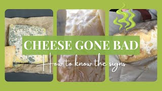 How To Tell If Cheese Has Gone Bad (Colour, Texture & Smell)