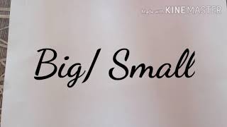 Celebrity Activity/ Pre-Maths Concepts/ Comparison/ Big or Small/ Easy examples Net Worth