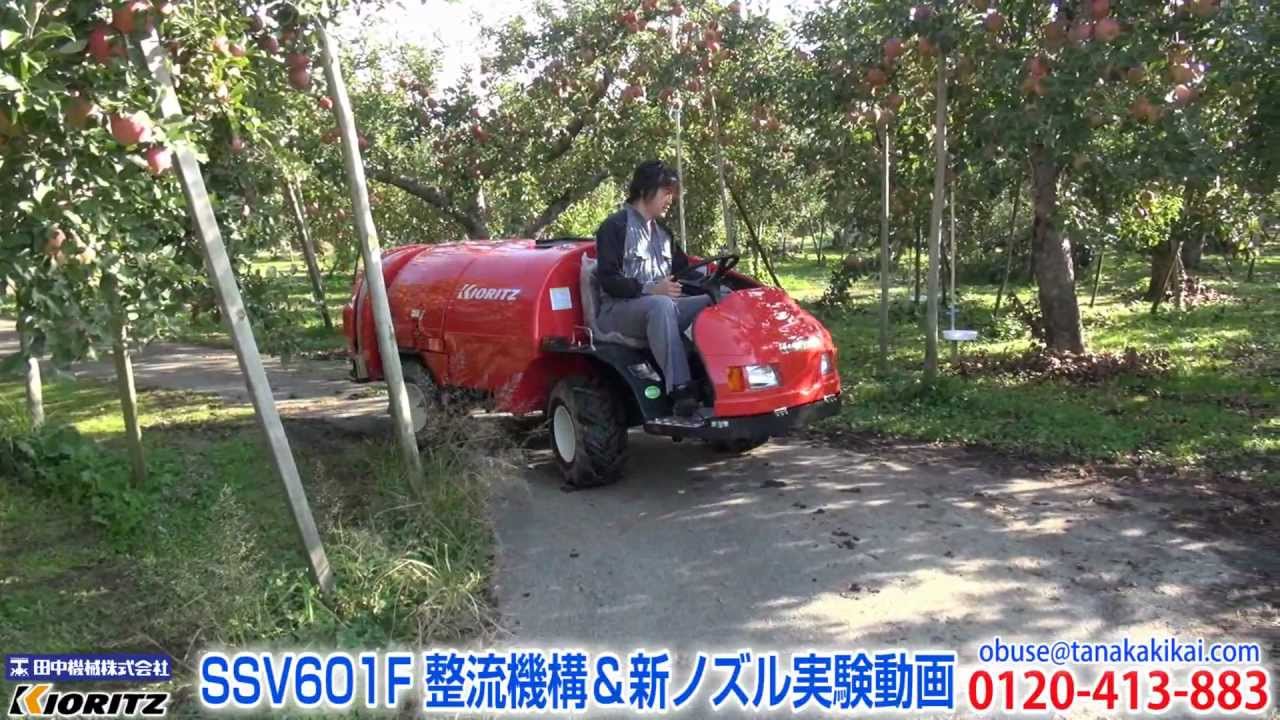 Tanakika