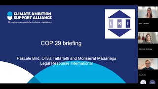 LRI COP 29 briefing
