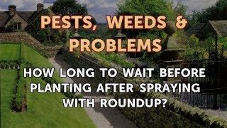 How to Before Planting After Spraying With Roundup? -