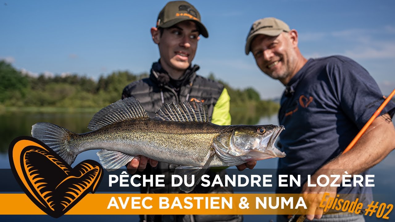 La pêche du sandre en linéaire light (deux leurres qui cartonnent !)