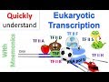 Eukaryotic Transcription