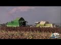 Клип про Молдавских комбайнёров и трактористов,Версия 2019