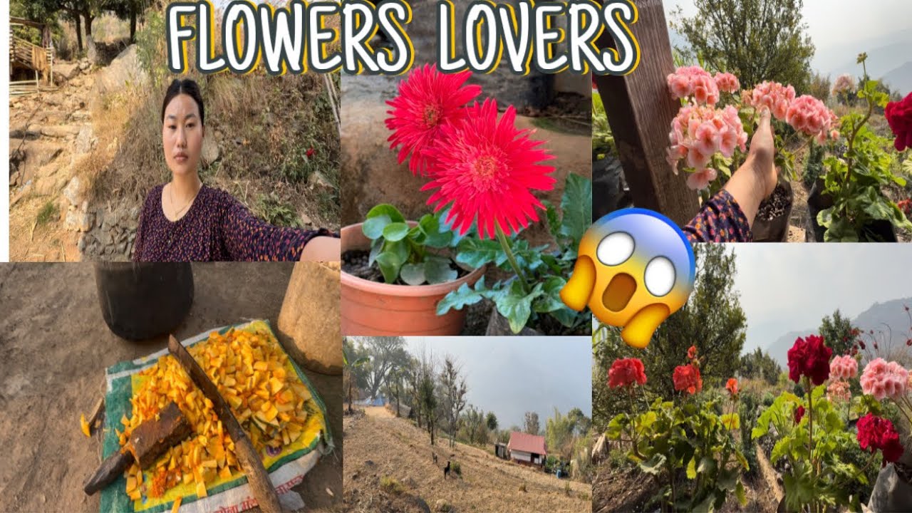 MERO KAAM RA FLOWERS 🌺 LOVERS 