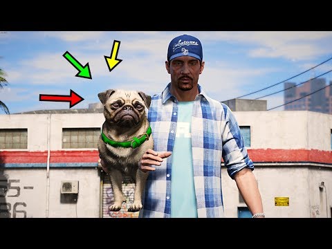 GTA 5 "Қорабай бомж жаңа ит сатып алды"