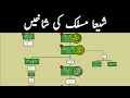 Branches of shia  sects of shia  12 imam family tree  how many sects shia has shia