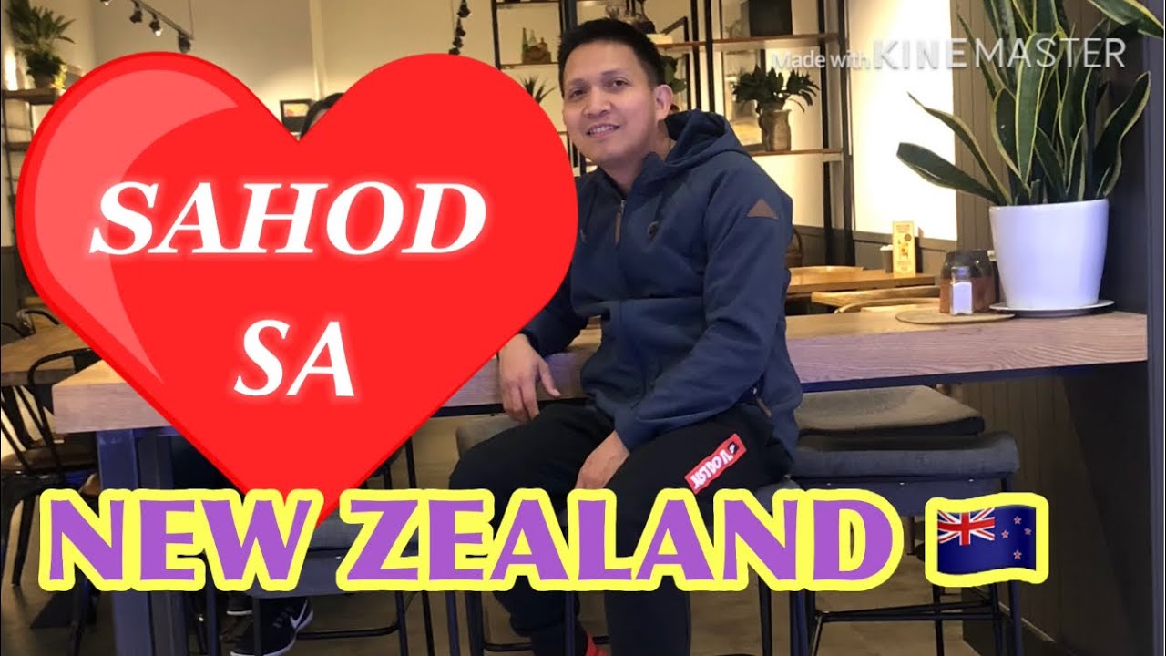 SALARY SA NEW ZEALAND WEEKLY EXPENSES 04 YouTube