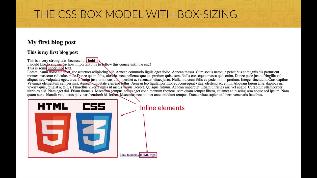 5 The CSS box model - YouTube