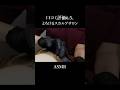 【ASMR】口コミ評価高すぎなスカルプサロン😴🫧