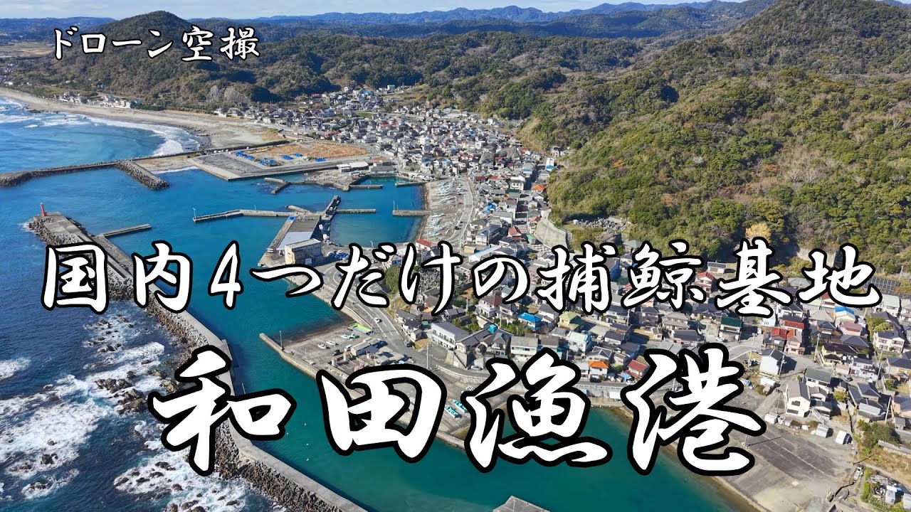 国内4つだけの捕鯨基地「和田漁港」【ドローン空撮 4K】