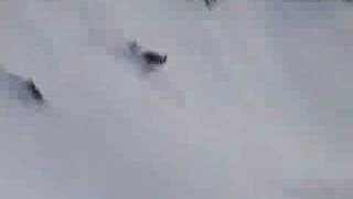 Best of Zipflbob - Willenlos Bobstar Team