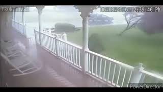 trees falling compilation #5