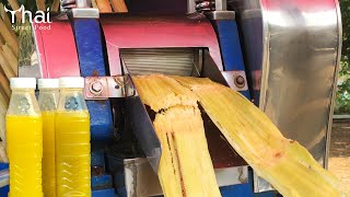 Sugarcane Juice Vendor with Machine | Street Drink | Thai Street Food