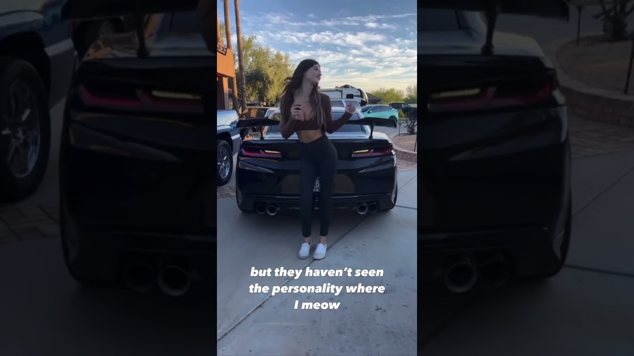 ZL1 camaro purple girl