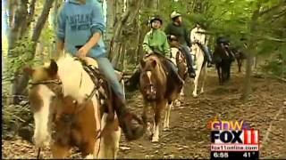 Touring fall foliage on horseback in Door County