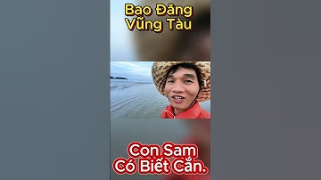 Bao Đăng Vũng Tàu: Bắt Sam. Bắt Cá Nâu Cá Đối Tại Đăng Đôi gần Long Hải. #baođăngvũngtàu