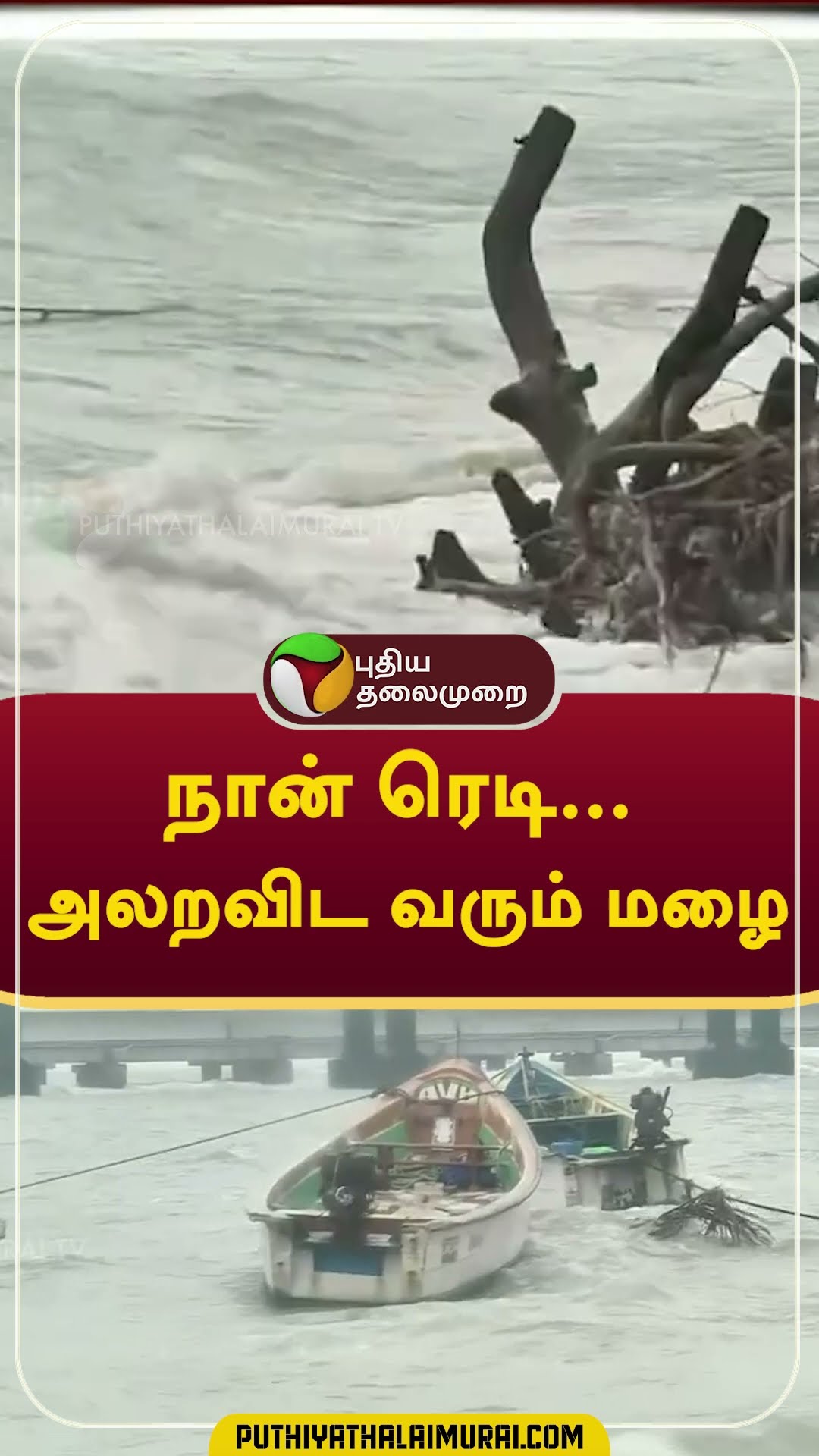 நான் ரெடி; அலறவிட வரும் மழை  #shorts #rain #weather