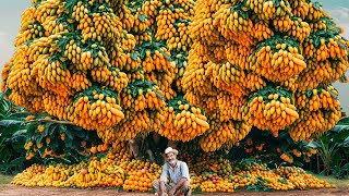 The Most Modern Agriculture Machines That Are At Another Level , How To Mangoes In Farm