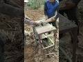 Sawing cassava stems with a circular saw