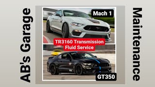 GT350 Mach 1 Tremec transmission service HOW TO TR-3160 manual transmission fluid service