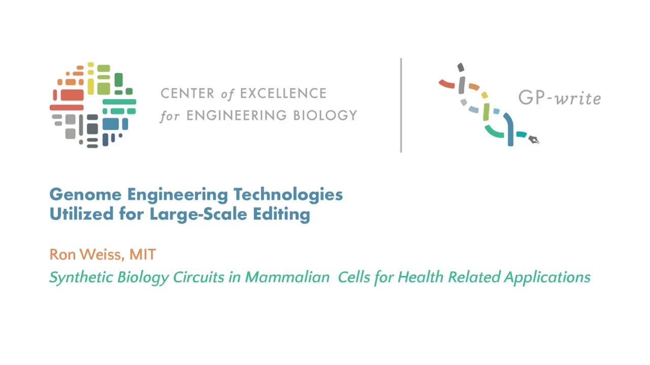 Genome Engineering Technologies Utilized for Large-Scale Editing | Ron Weiss