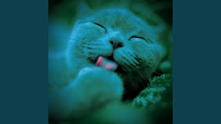 Subdued Cats