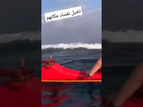 مقطع يهتز له البدن حركة سريعة في الهواء من حوت أزرق عملاق يدس الخوف في صدور القريب والبعيد