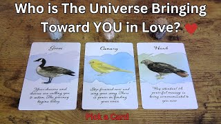 ⭐Who is The UNIVERSE Bringing Towards YOU in LOVE! ? ❤️🌹Pick a Card❤️