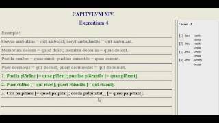 Lingua - 14.2 - Exercise Tutorial