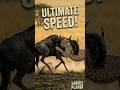 Cheetah vs Giant Wildebeest The Ultimate Struggle #survival #nature #wildlife #africa #animals