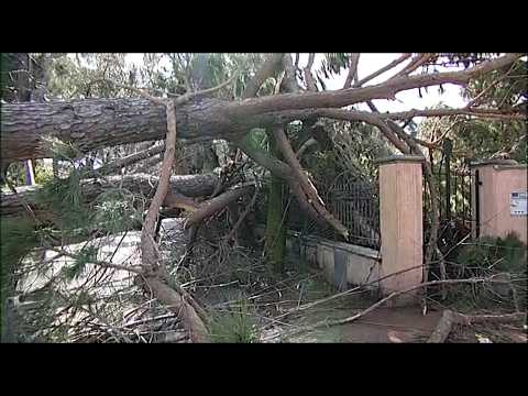 La Versilia ricorda la tempesta di vento di 11 anni fa