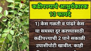 कढीपत्त्याचे 13 आश्चर्यकारक फायदे || 13 Amazing Health benefits of Curry Leaves in Marathi