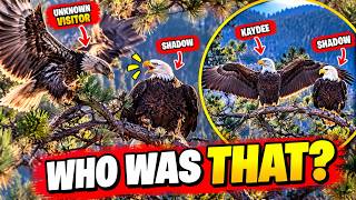 Something Flew WAY Too Close to Shadowโฆ๐จ๐ฆ
Kaydee Open His WINGS to INPRESS SHADOW ๐๐๐ฎ