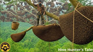 2026 Forest Honey Harvest — Carrying an Enormous Gourd at Deadly Heights