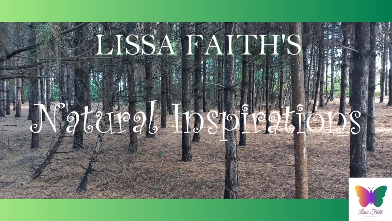 Natural Inspirations - Ant Spirit